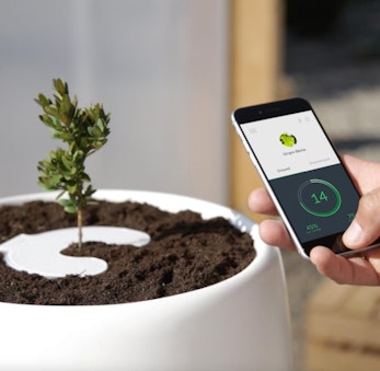 Digitale Bestattungen