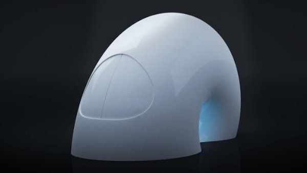 DNA Wasserbestattung