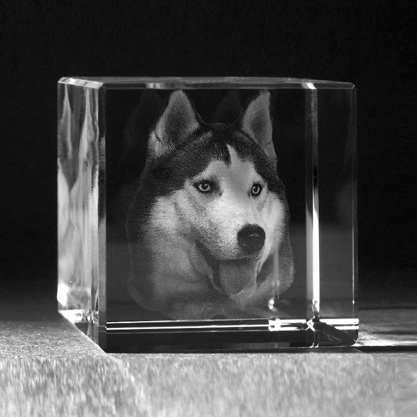 https://bestattungsportal-production.imgix.net/product_images/1126/3d-portrait-hund-glas-gelasert-kristallglas-glasfoto.jpg?ixlib=php-3.3.1
