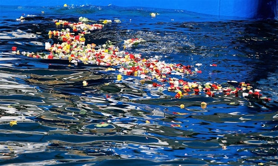 Rundum-Sorglos-Paket mit hochwertiger Seebestattung