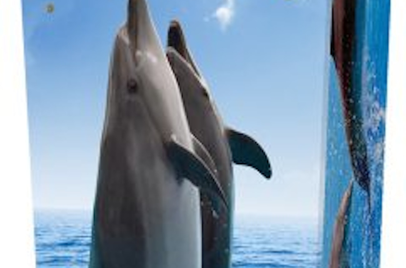 https://bestattungsportal-production.imgix.net/product_images/1765/cc-dolphins-standing-240x693.jpg?ixlib=php-3.3.1