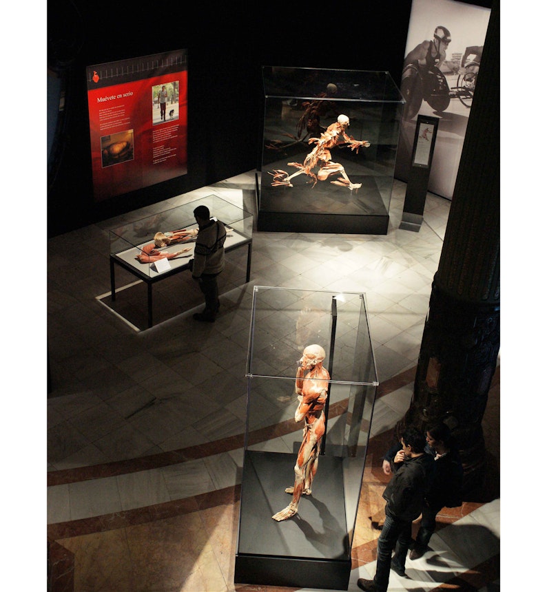 https://bestattungsportal-production.imgix.net/product_images/2029/impressionen-ausstellung_gunther-von-hagens_koerperwelten.jpg?ixlib=php-3.3.1