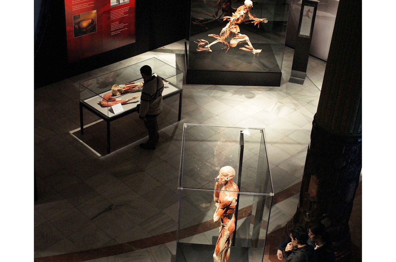 https://bestattungsportal-production.imgix.net/product_images/2029/impressionen-ausstellung_gunther-von-hagens_koerperwelten.jpg?ixlib=php-3.3.1