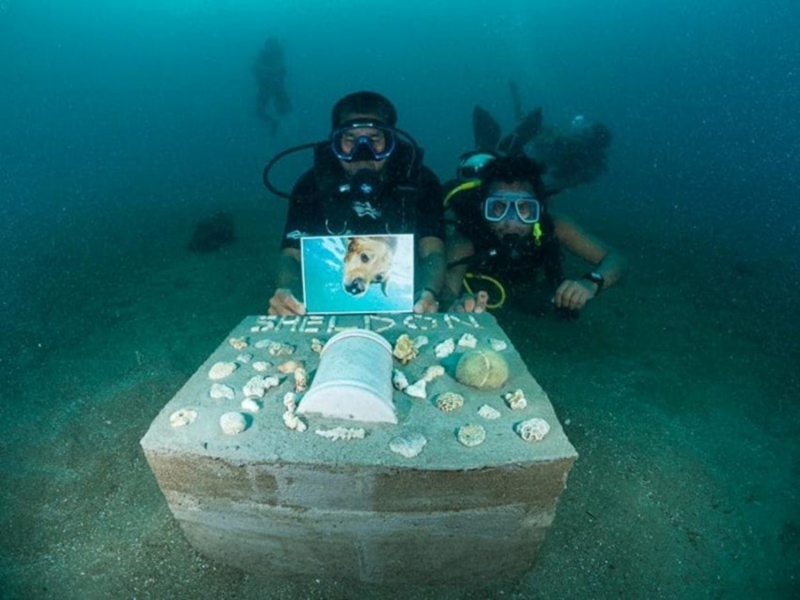 https://bestattungsportal-production.imgix.net/product_images/210/diving-dog-dies-and-gets-a-special-underwater-funeral.jpeg?ixlib=php-3.3.1