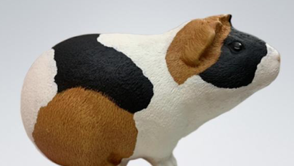 Meerschweinchen Urne