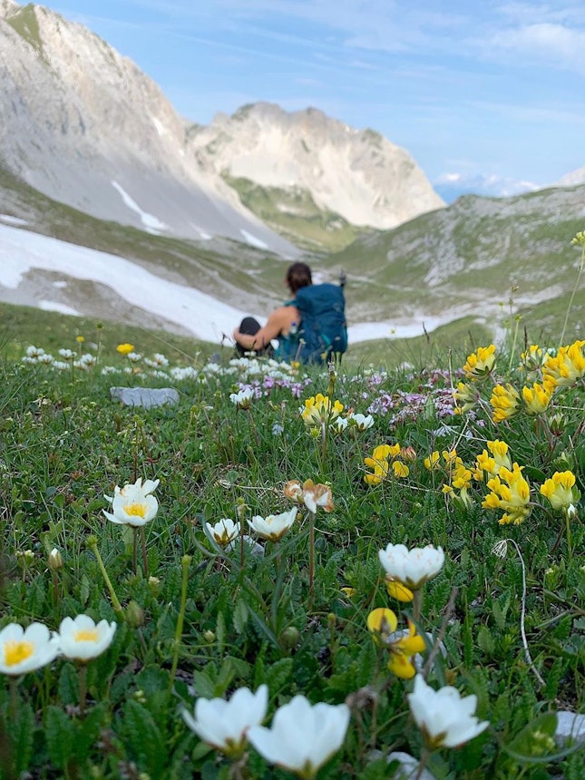 https://bestattungsportal-production.imgix.net/product_images/3272/Der-Karwendel-Ho%CC%88henweg%21-Die-Etappen-4-bis-6---Moosbrugger-Climbing.jpeg?ixlib=php-3.3.1