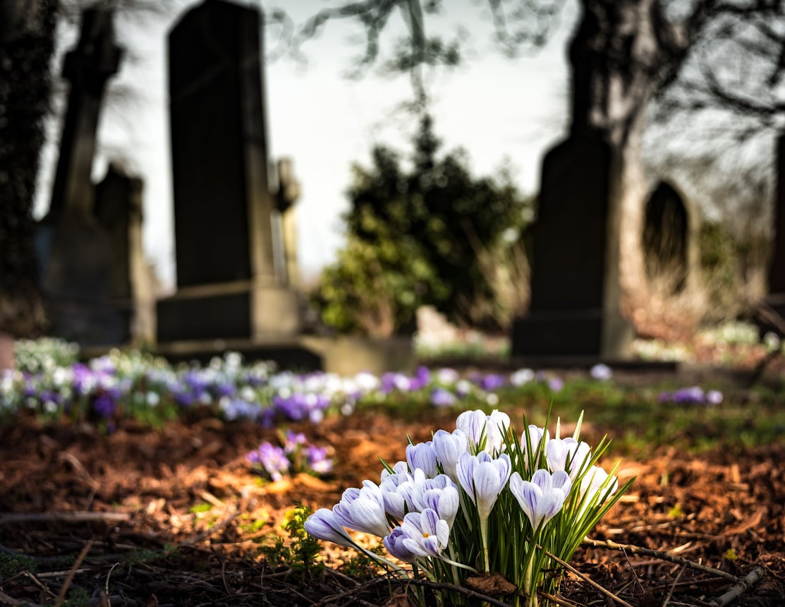 https://bestattungsportal-production.imgix.net/product_images/4028/graveyard-church-crocus-cemetery-161280.jpeg?ixlib=php-3.3.1