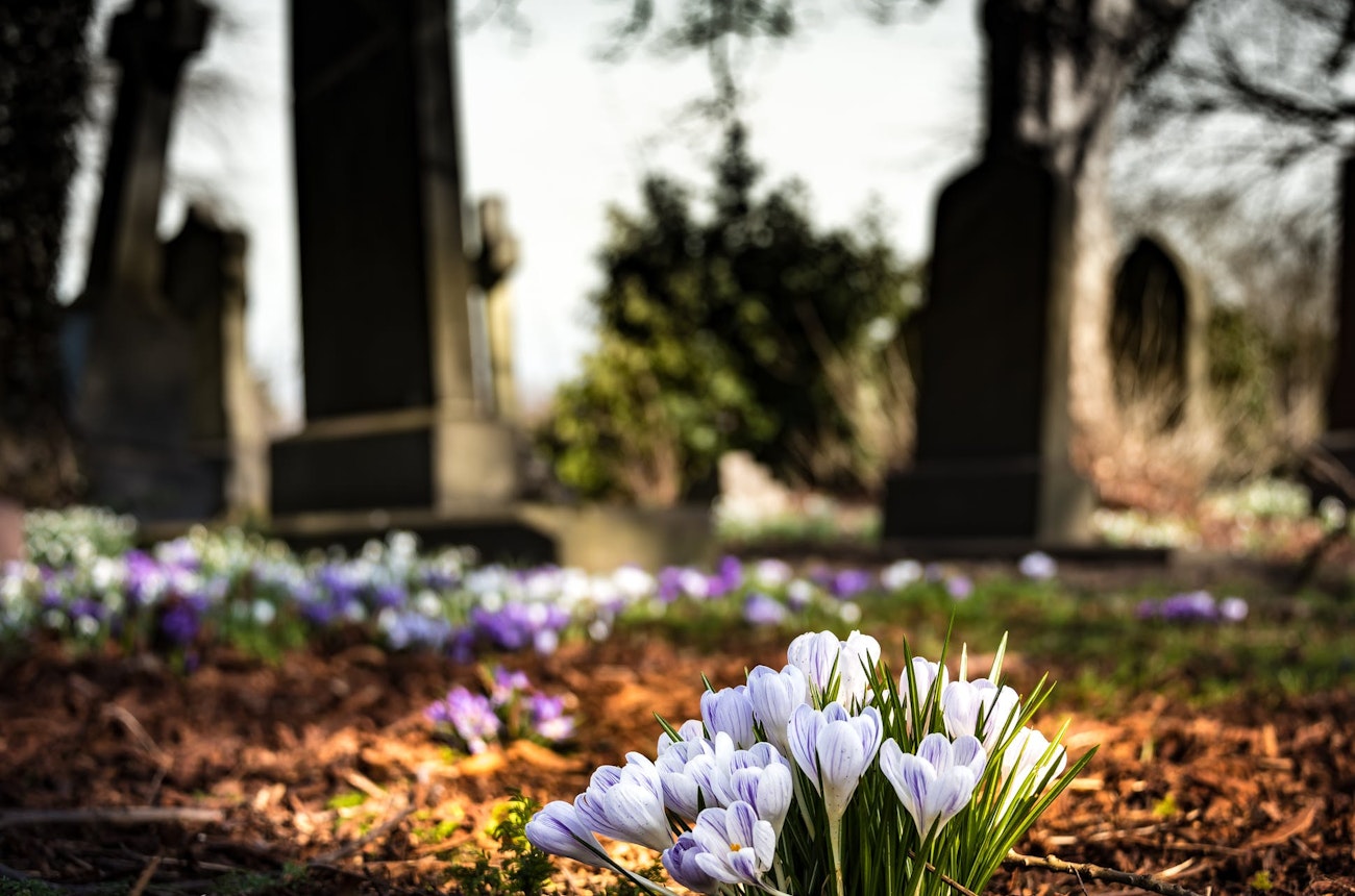 https://bestattungsportal-production.imgix.net/product_images/4214/graveyard-church-crocus-cemetery-161280.jpeg?ixlib=php-3.3.1