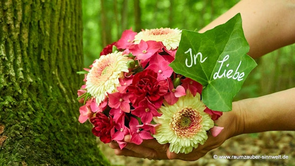 Anonyme Waldstattung zum Bestpreis