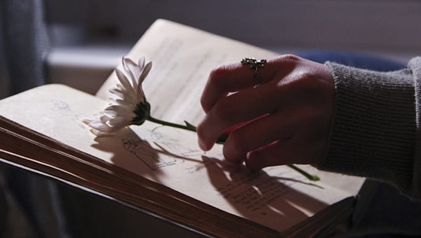 Bestattungen mit persönlichen Abonnements zum Gedenktag