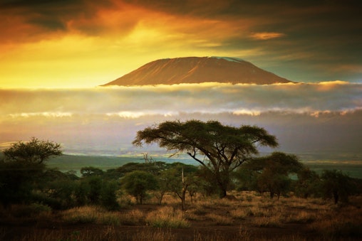 Ein Abschied auf dem Kilimandscharo