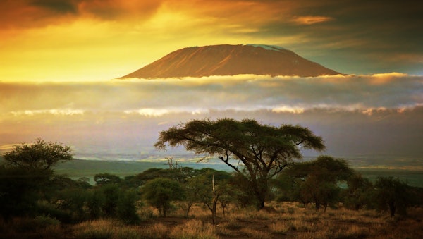 Ein Abschied auf dem Kilimandscharo