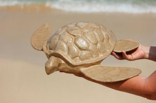 Biourne als Wasserschildkröte